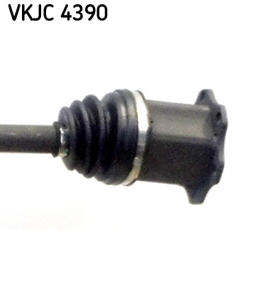 KIT SEMIASSE